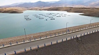 رهاسازی آب از سد ایوشان در سال جاری ممنوع شد؛ کشاورزان از کشت بهاره خودداری کنند